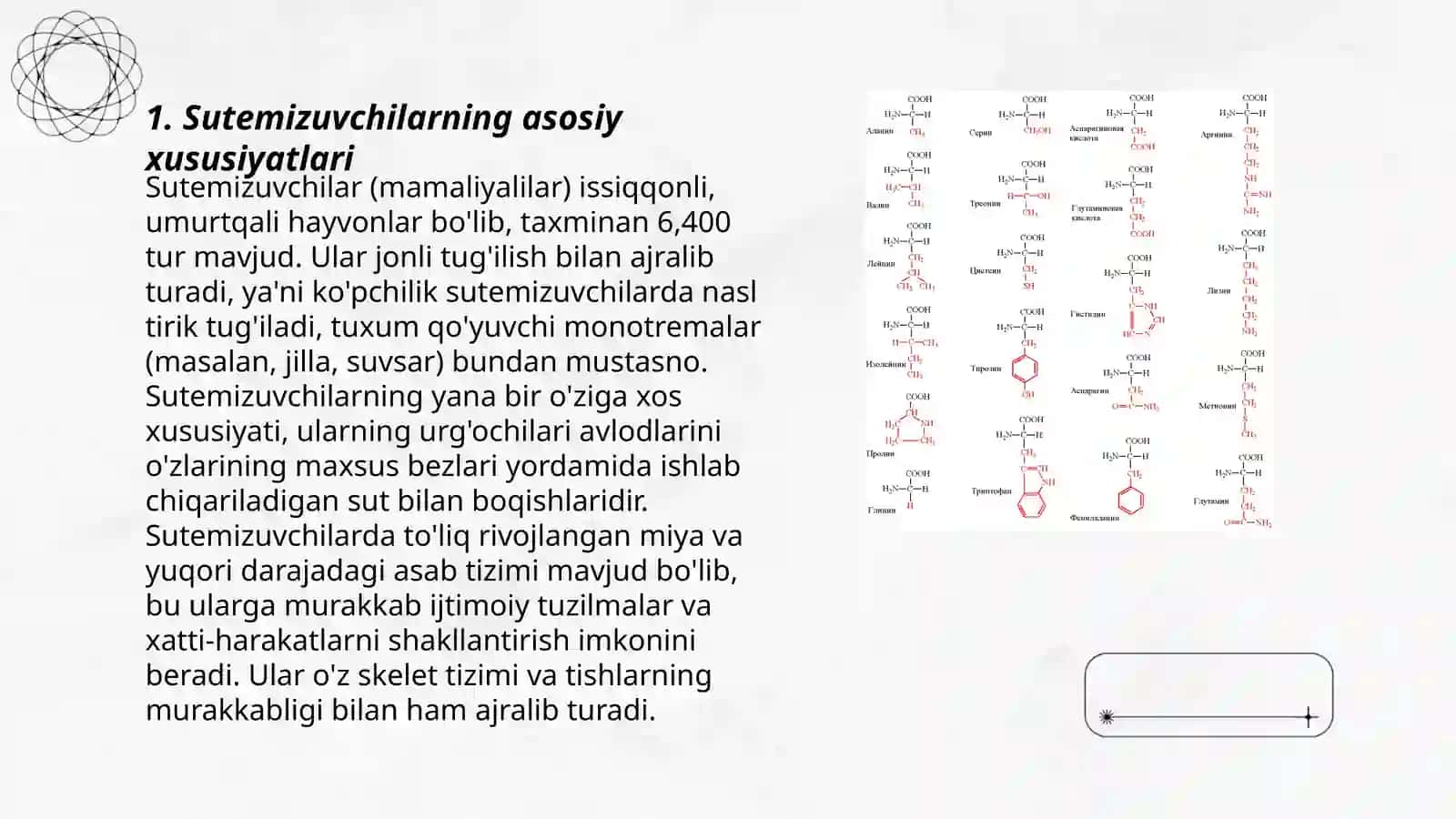 7-sinf zoologiya sutemizuvchilar mavzusi 3