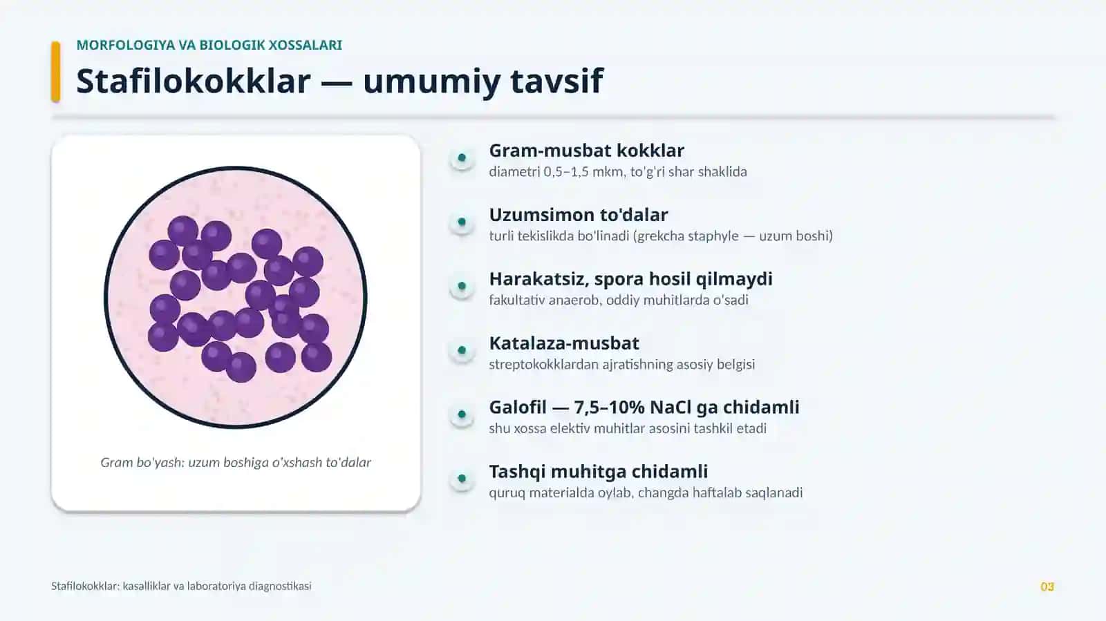 TIBBIY MIKROBIOLOGIYA · MA'RUZA TAQDIMOTI 3