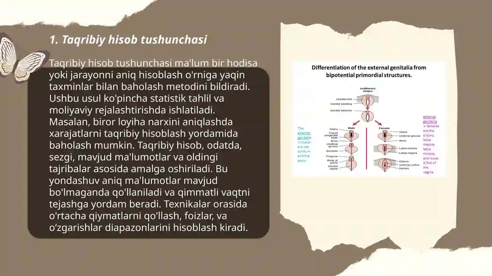 Taqribiy hisob, absolyut va nisbiy xato, sonlarni yaxlitlash usullari 3