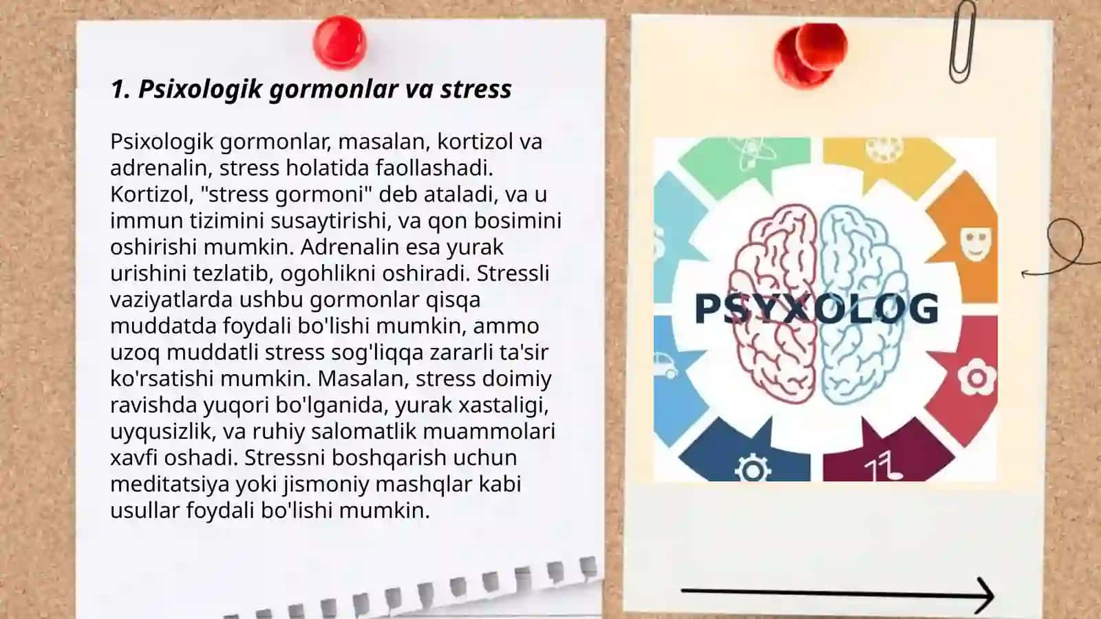 Psixologik gormonlar va stress 3