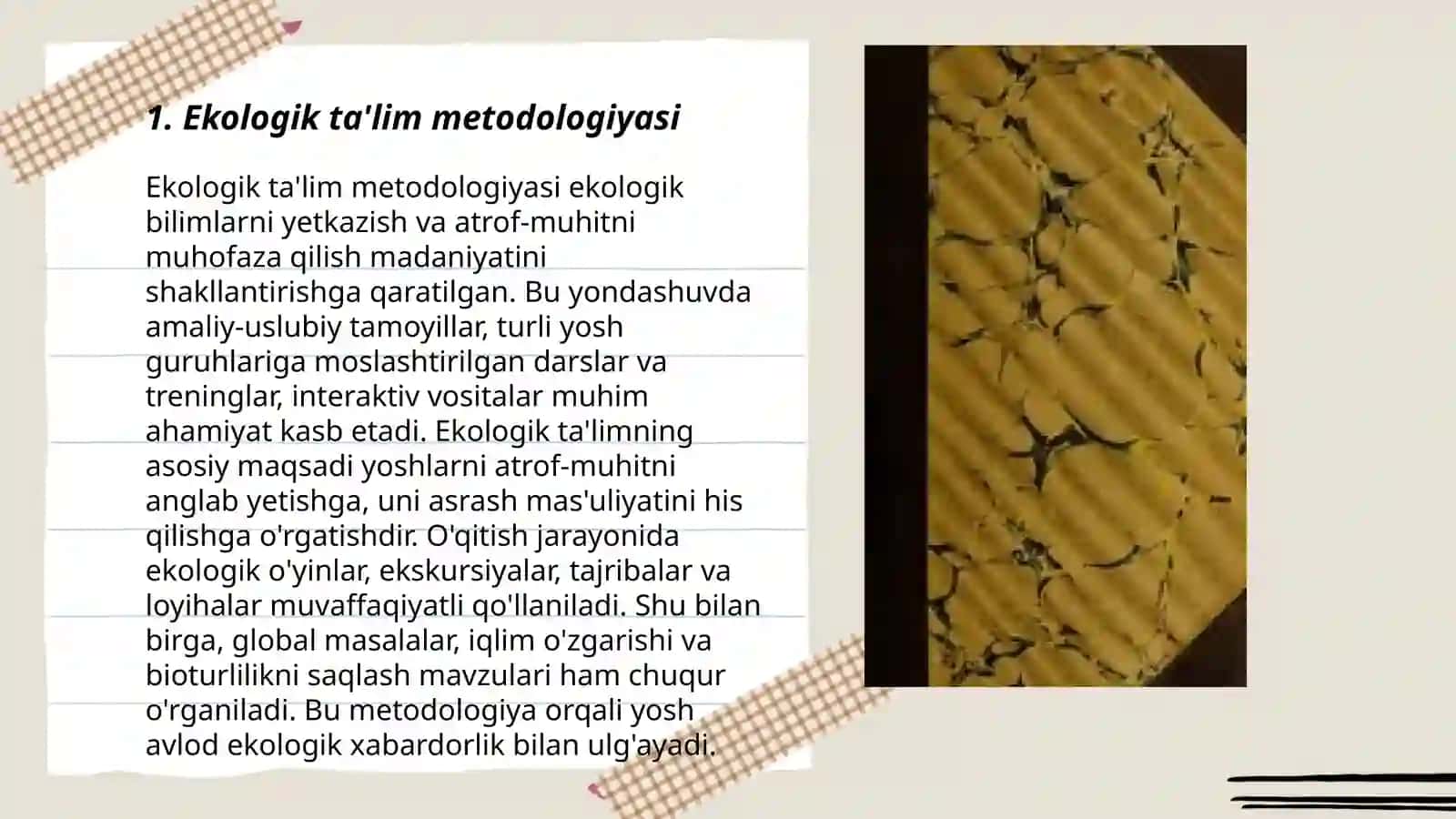 Ekologik taʼlim sohasidagi rivojlanish markazlarining faoliyati 3