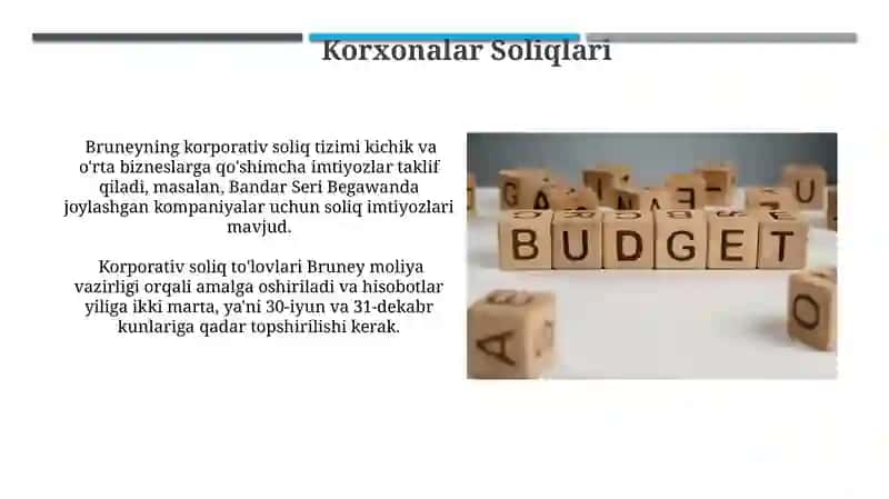 Bruneyning Soliq Tizimi 3