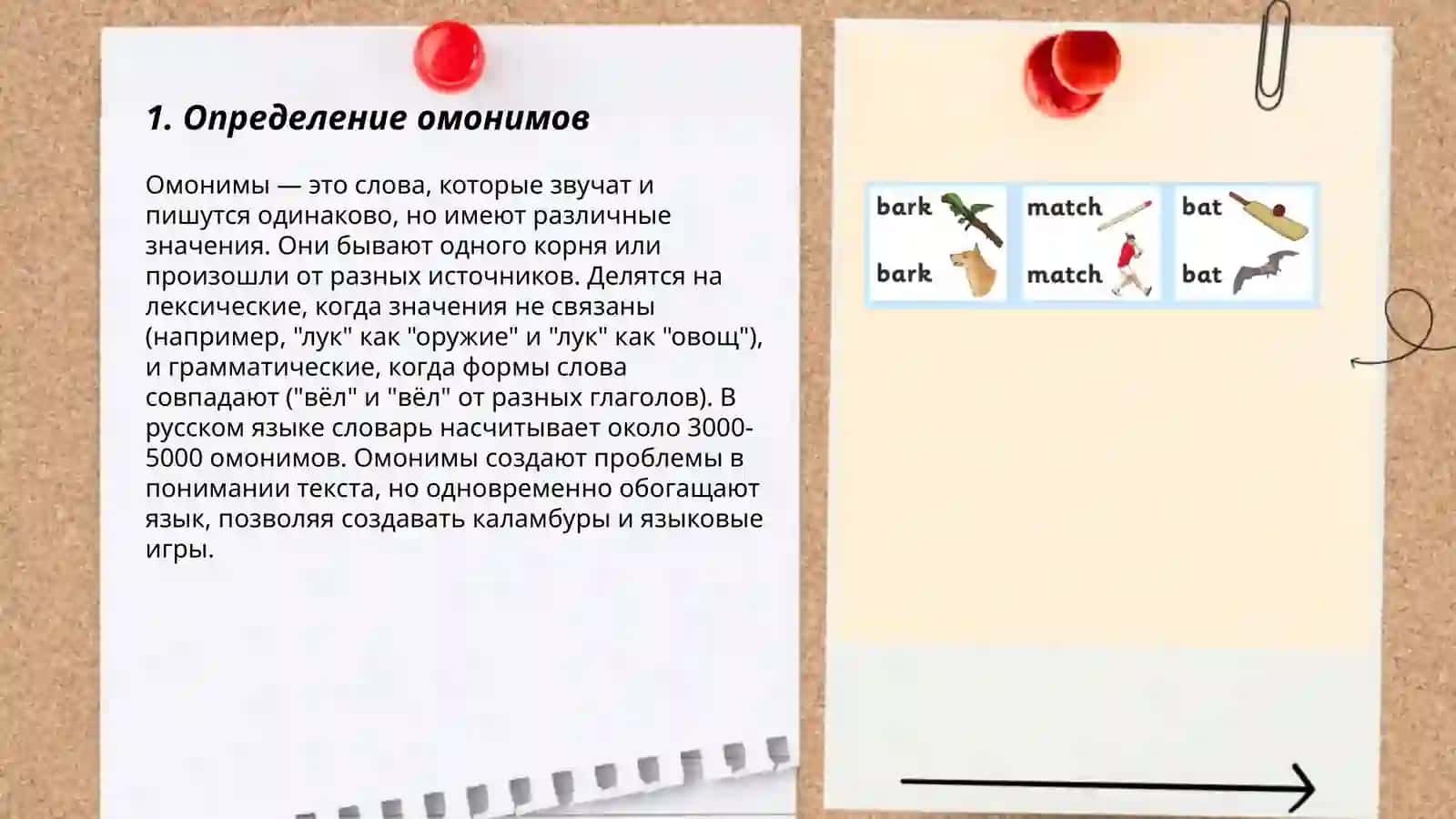 Омонимы. Классификация омонимов. Происхождение омонимов. Лексические омонимы. Явления, схожие с омонимией. Словарь омонимов 3
