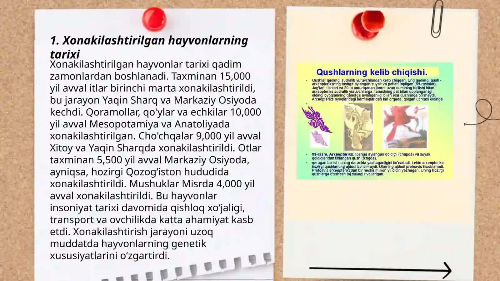 Xonakilashtirilgan hayvonlar tarixi 3