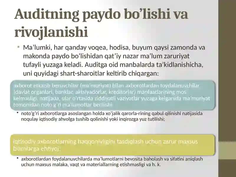 Ichkiaudit faoliyati ko‘lami 3