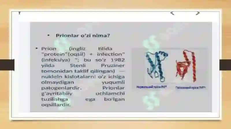 Prion kasalliklari 3