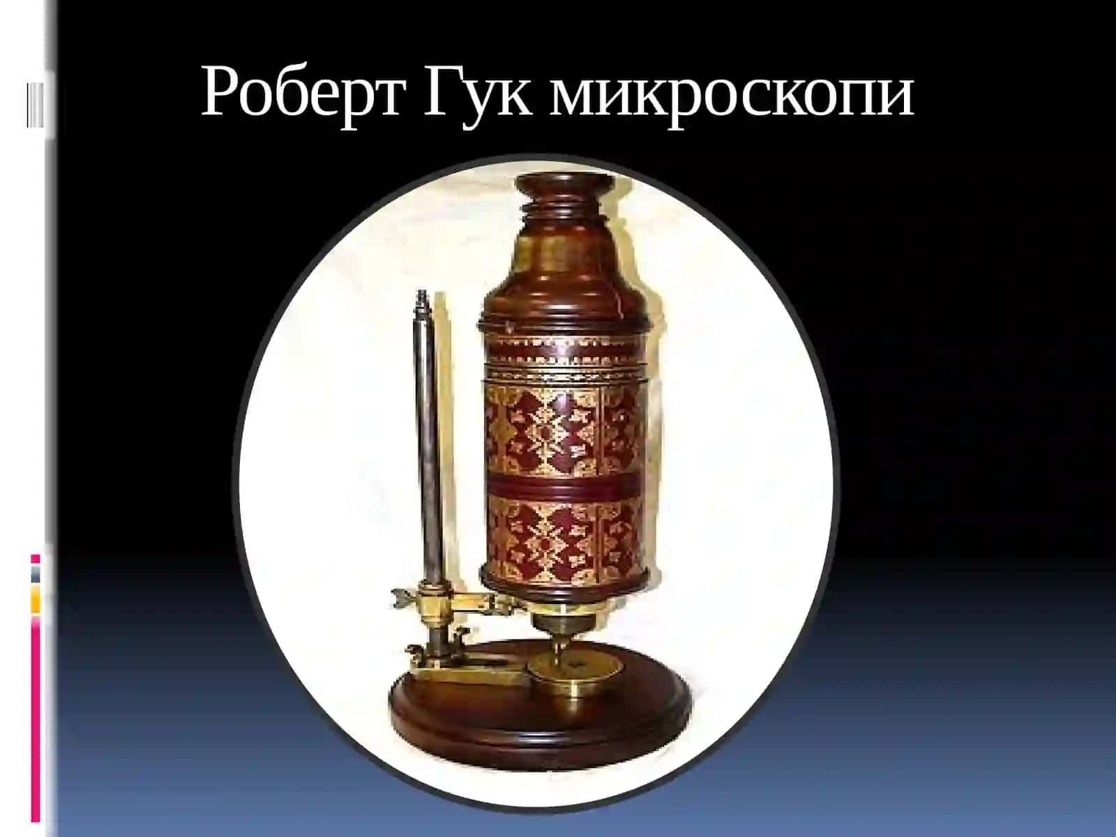 Ботаникаваўсимликларфизиологиясифани 3