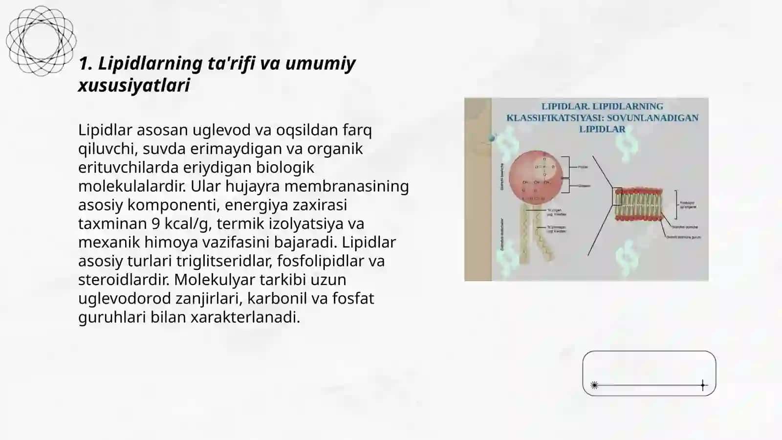 Lipidlar 3