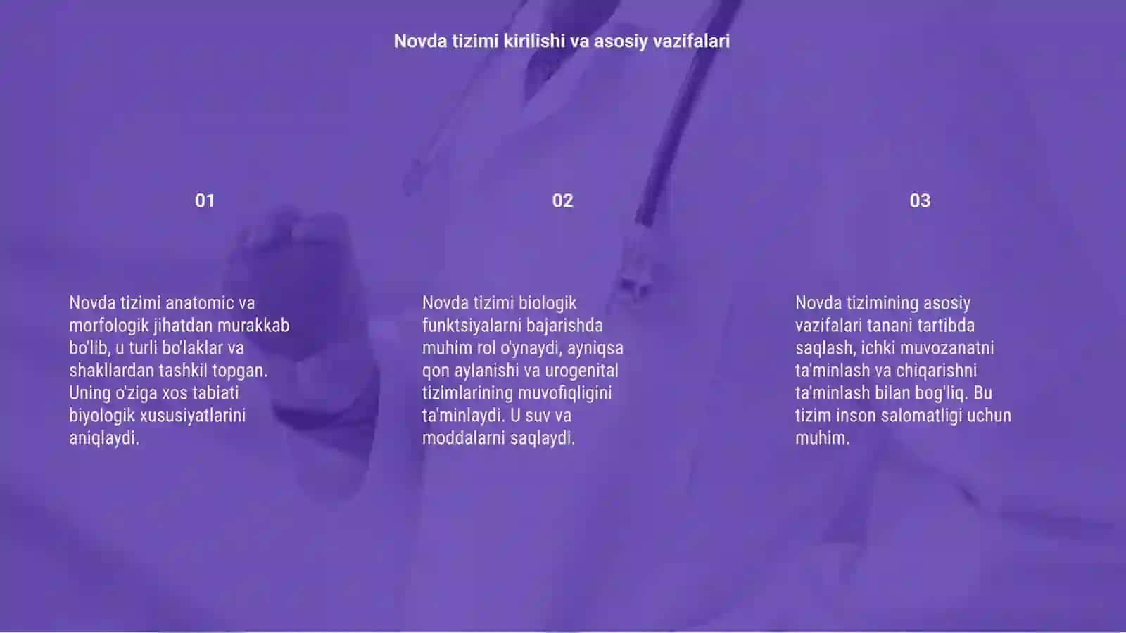 Novda tizimi anatomiyasi morfologiyasi va biologik xususiyatlari 3