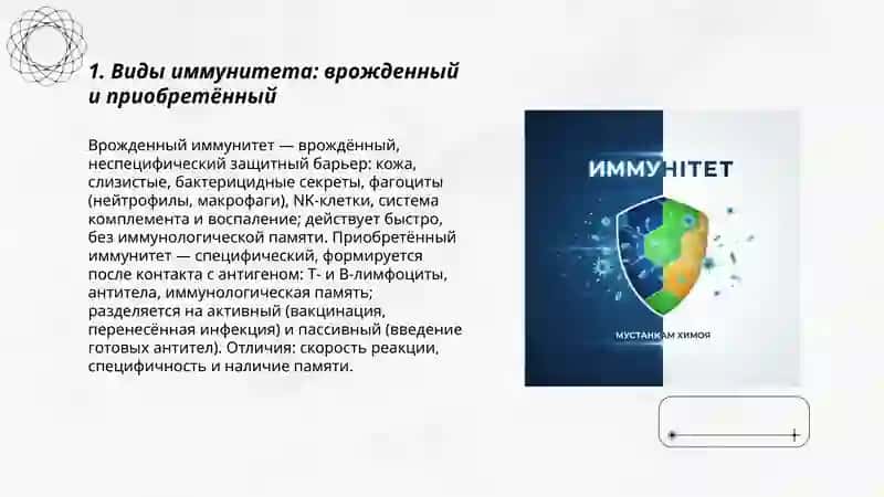 Иммунитет 3