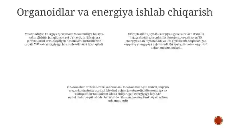 YorugʻLikda Nafas Olishda Ishtirok Etadigan Organoidlar 3