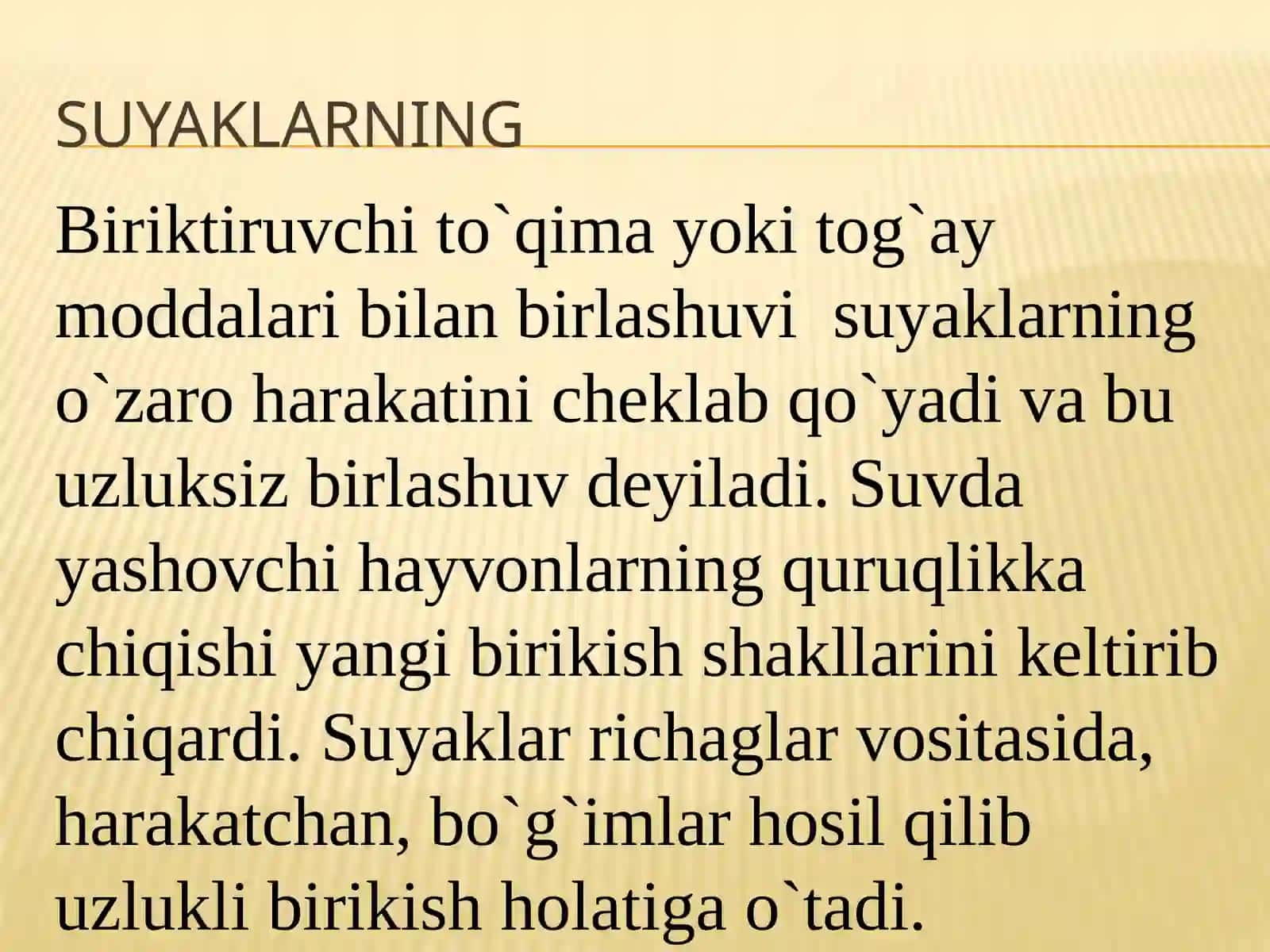 SINDESMOLOGIA 3