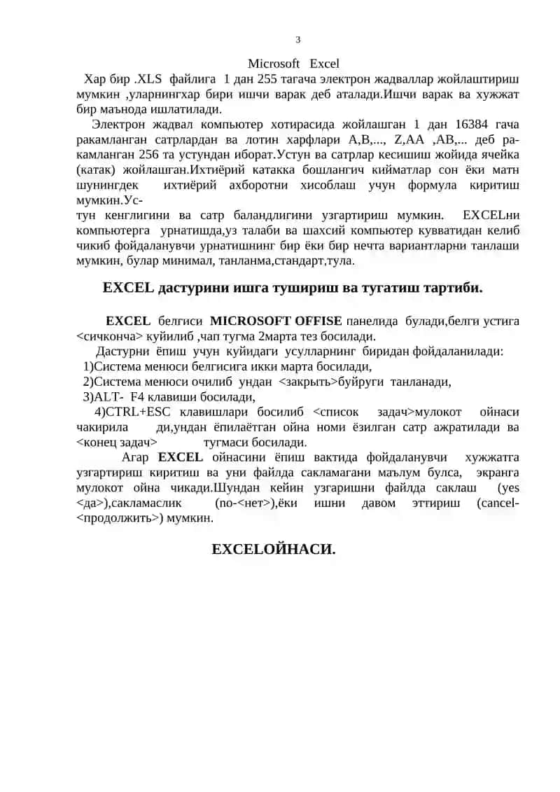Microsoft Excel 3