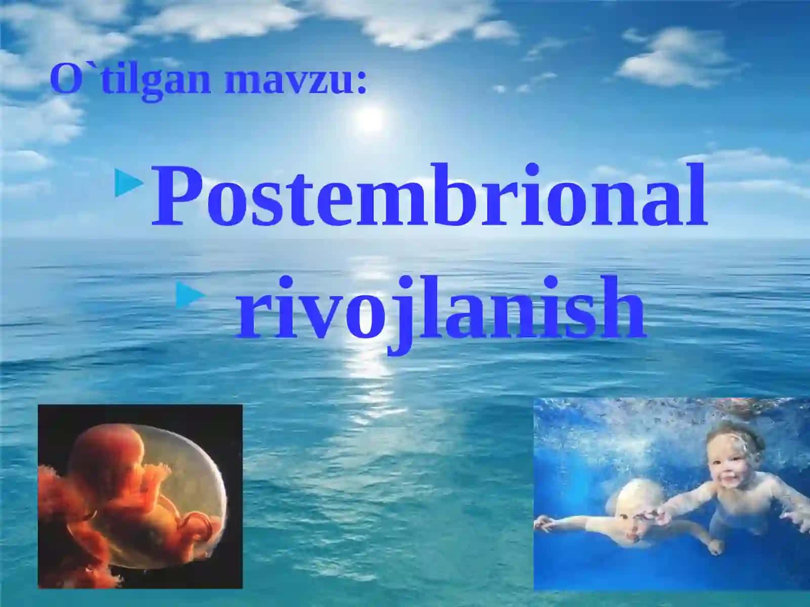 Embrion rivojlanishga tashqi muhitning ta'siri. Rivojlanishning umumiy qonuniyatlari. Biogenetik qonun. Embrionlarning o'xshashlik qonuni 3