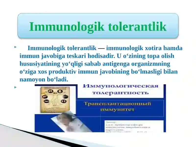 Immunologik Tolerantlik va O'simtalarga qarshiimmunitet 3