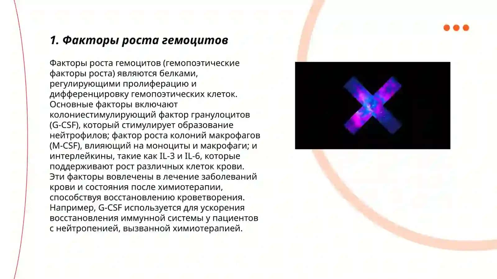 Регуляция процесса гемоцитопоэза 3