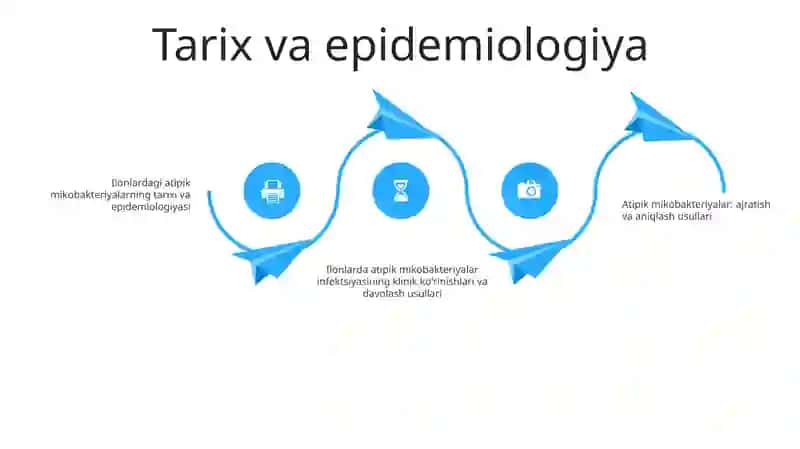 Atipik Mikrobakteriyalar Va Ularning Amalyotdagi Ahamiyati 3
