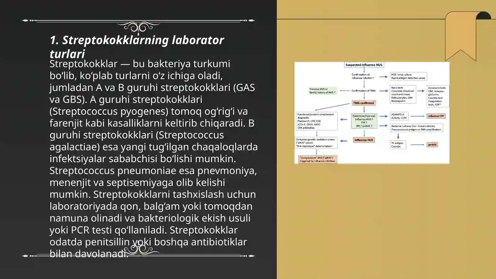 Streptakokni labaratoriya tashxisi 3