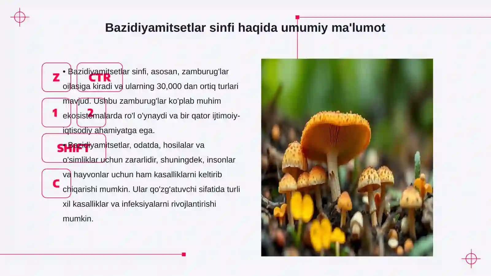 Bazidiyamitsetlar sinfi vakillari qoʻzgʻatuvchi kasalliklarni oʻrganish 3