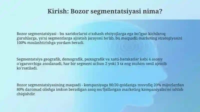 Bozor segmentatsiyasi 3
