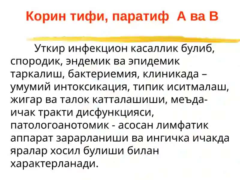Ич терлама – қорин тифи 3