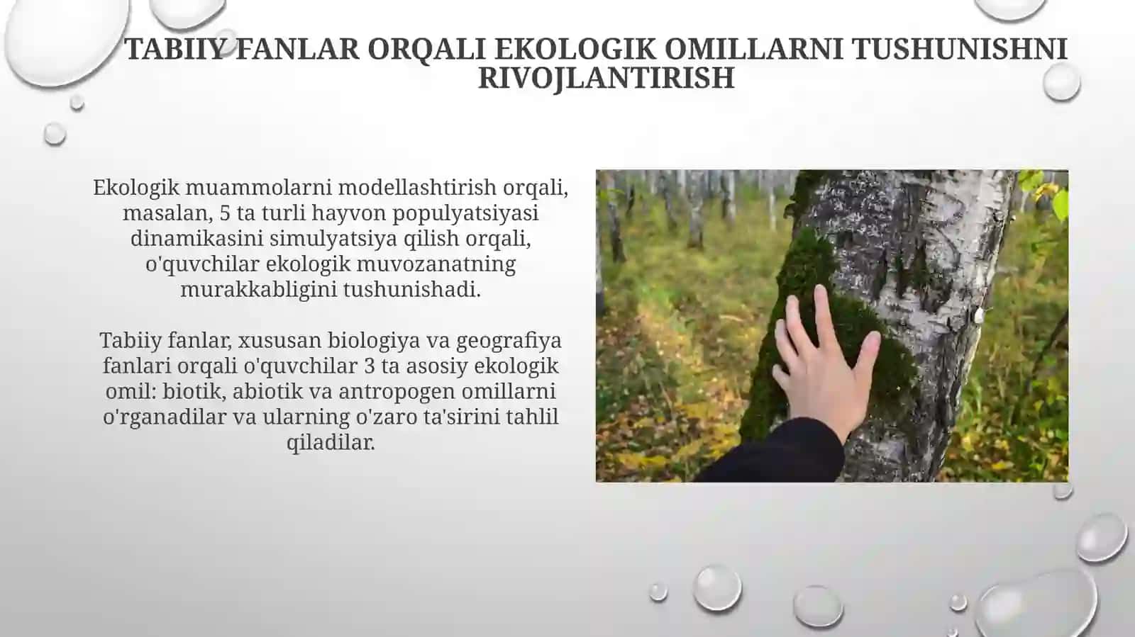 Tabiiy fanlar orqali ekologik omillarni tushunishni rivojlantirish 3