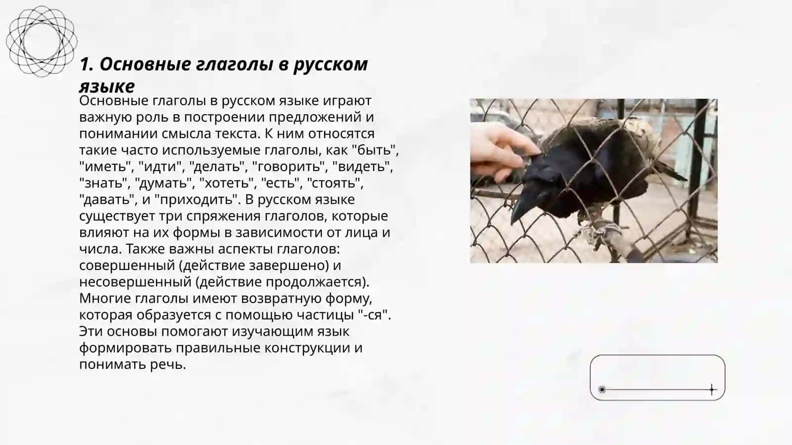 Глаголы и другие 3