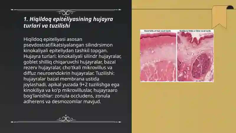 Hiqildoqning mikroskopik tuzilishi 3