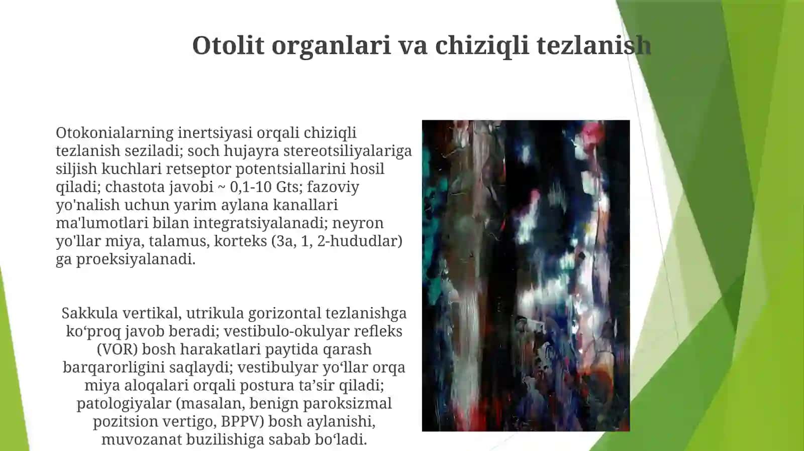 Eshotuvvavestebuliyaranalizatorfiziologiyasi 3