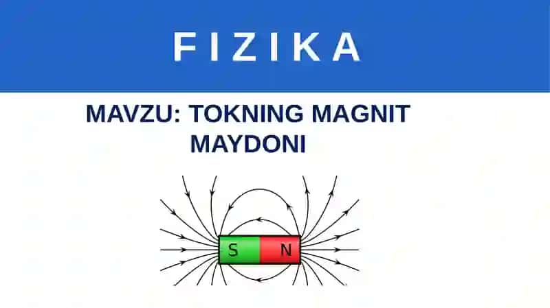 TOKNING MAGNIT MAYDONI 3