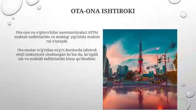 Yaponiyada boshlang'ich ta'limning o'qitilishi 3