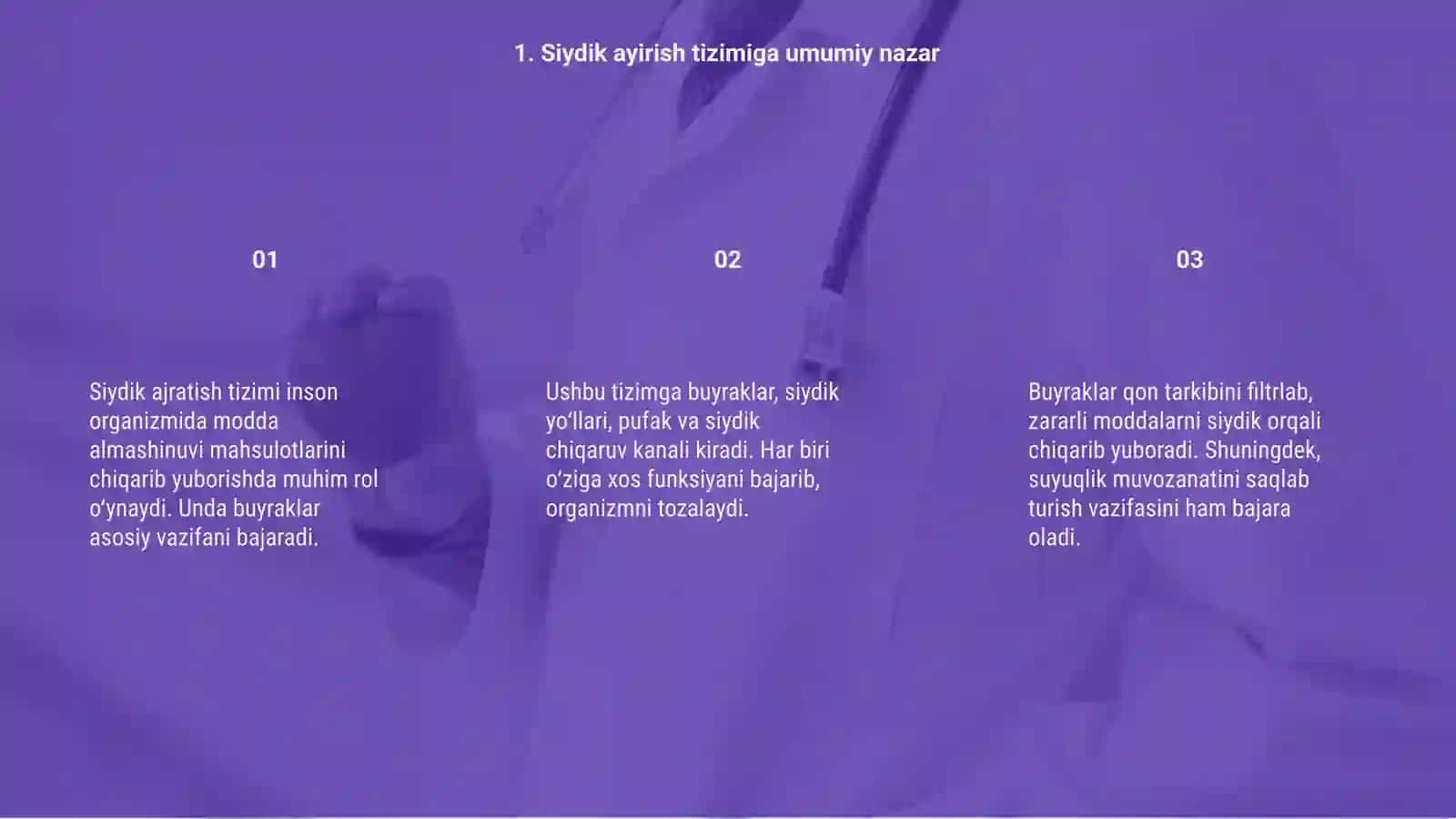 Siydik ayirish tizmi va buyraklarni tekshirish 3