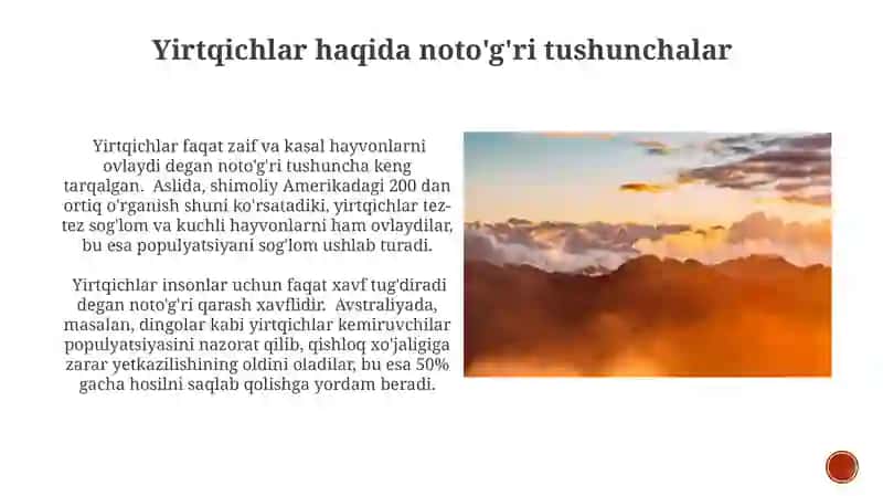 Yirtqichlar Faqat Zaif va Kasal Hayvonlarni Ovlaydi Degani Noto'g'ri Tushuncha Keng Tarqalgan 3