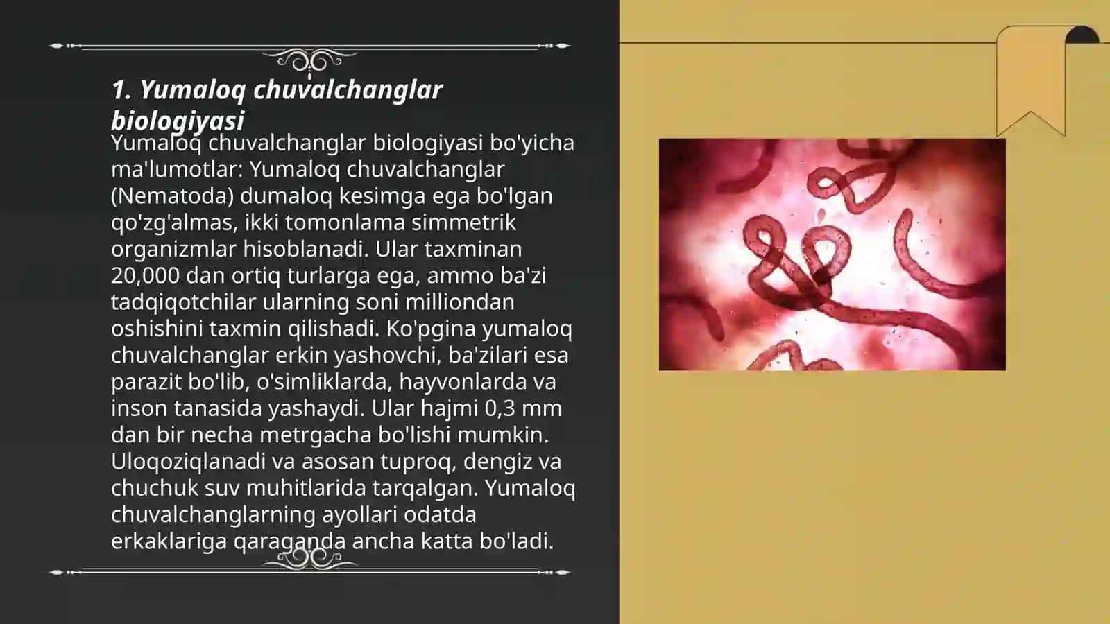 Yumaloq chuvalchanglar—odam parazitlari 3