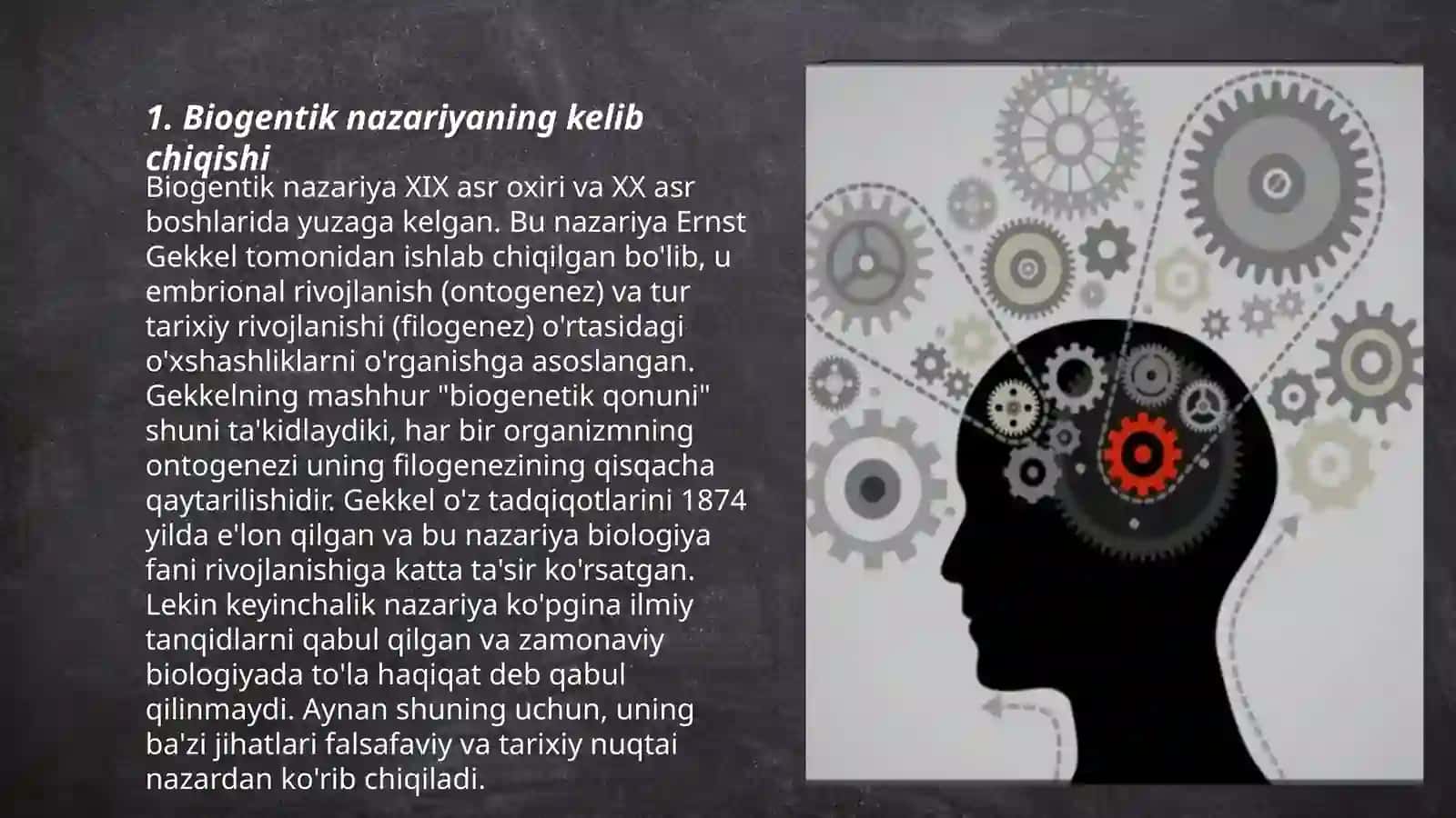 Rivojlanishning biogentik nazariyasi 3