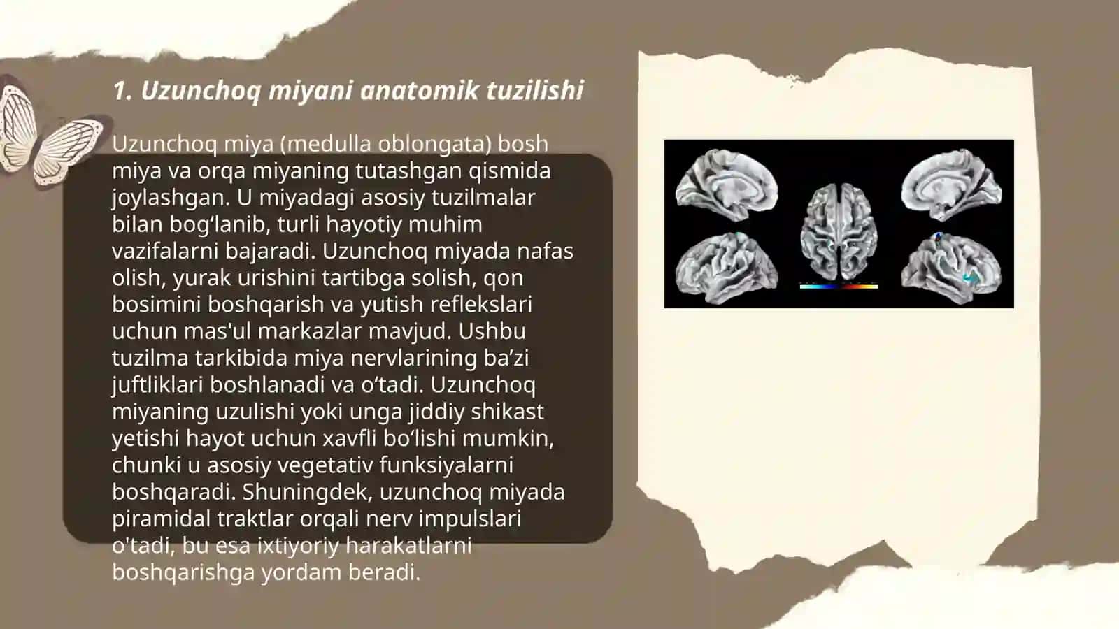 Uzunchoq miya 3