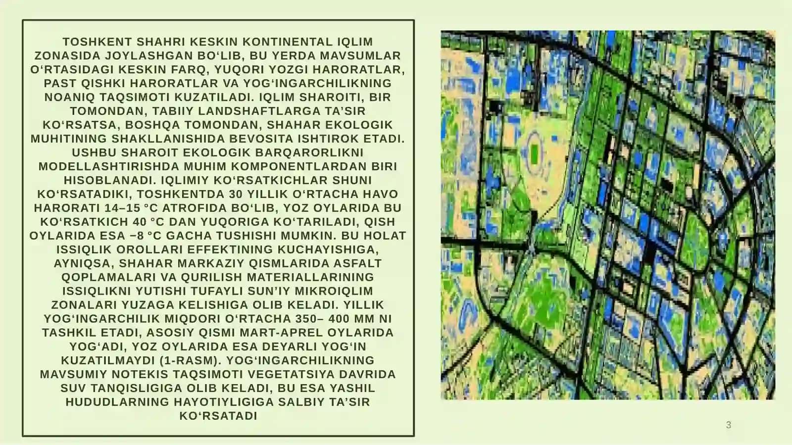 Sergeli tumani ko‘kalamzorlashtirish va  tizimini takomillashtirish 3