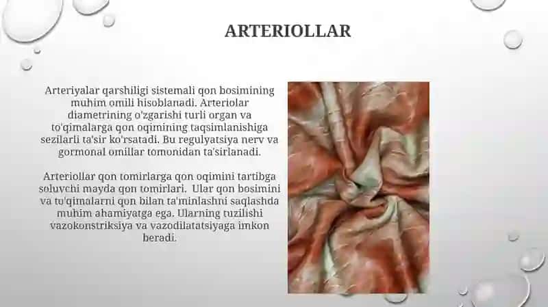 Arteriologiya 3