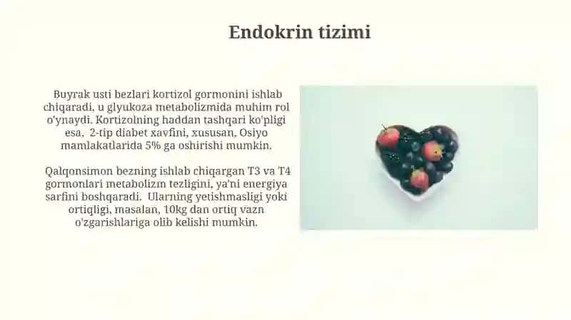 Ovqatlanish bilan bog'liq fiziologik sistemalar 3