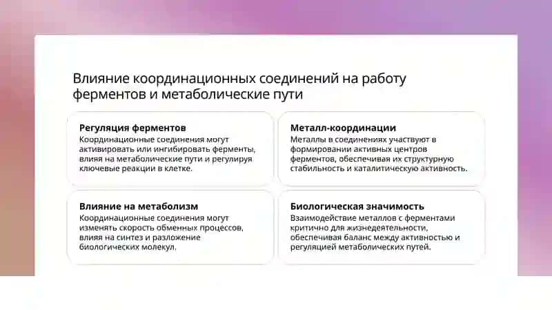 слайд,презинтация,slayd 3