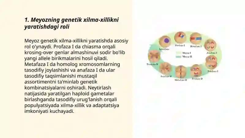 Meyozning biologik ahamiyati 3