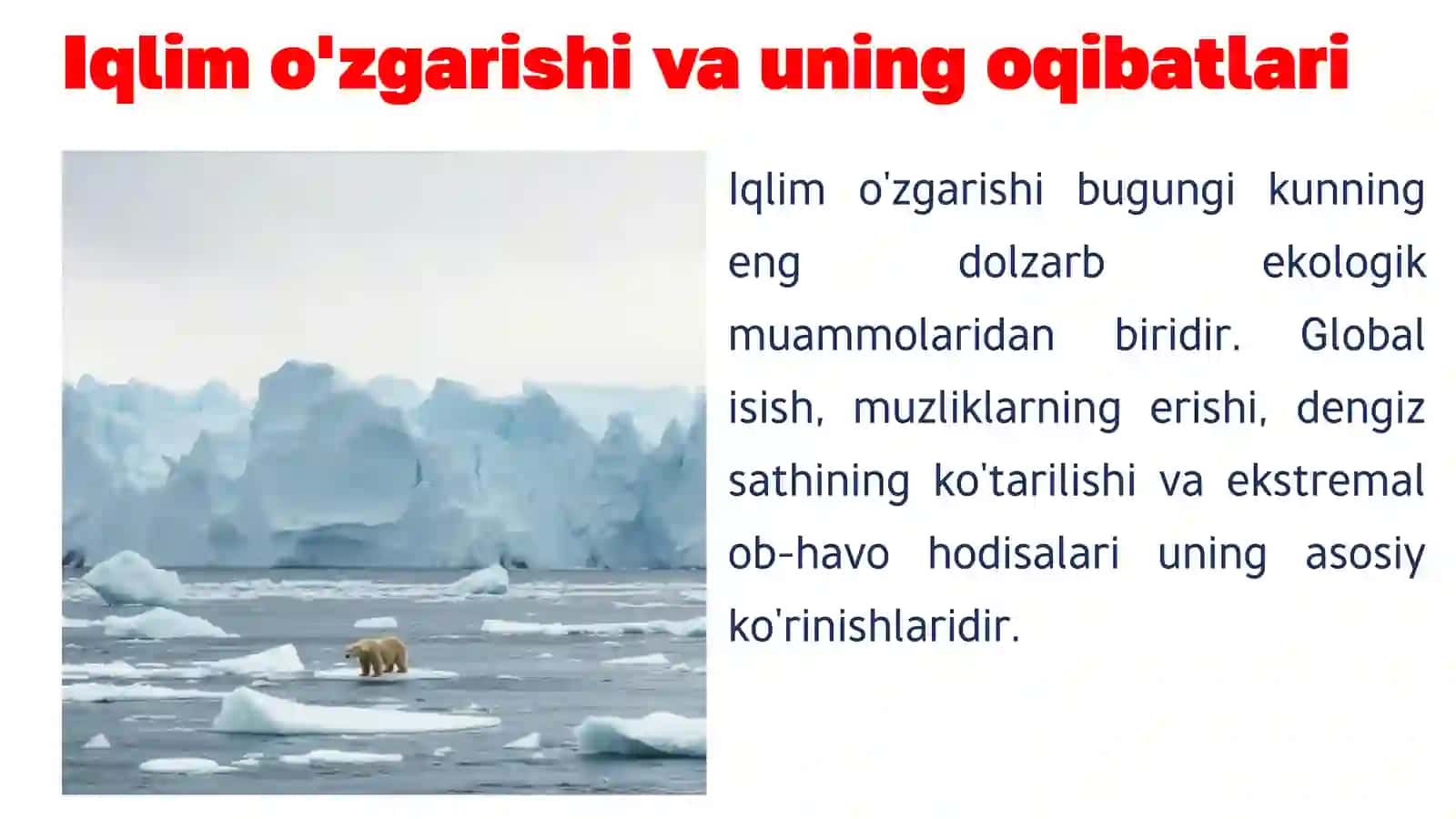 "Zamonaviy ekologik muammolar" mavzusida tayyor slayd 3