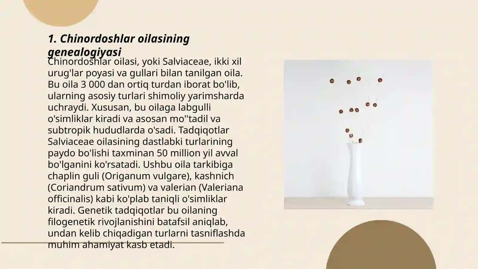 Chinordoshlar oilasi 3