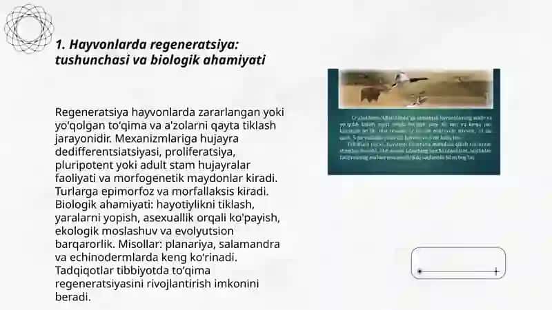 Hayvonlar Regeneriyatsiya tranplantatsiya va ularni turlari 3