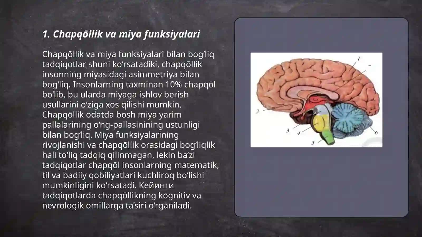 chapqōllik va yarimsharlar assametriyasi 3