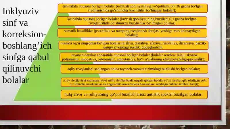 Inklyuziv ta’lim sinflari va boshlang‘ich tayanch korreksion sinflarga qabul qilinuvchi bolalar toifalari haqida tushuncha 3