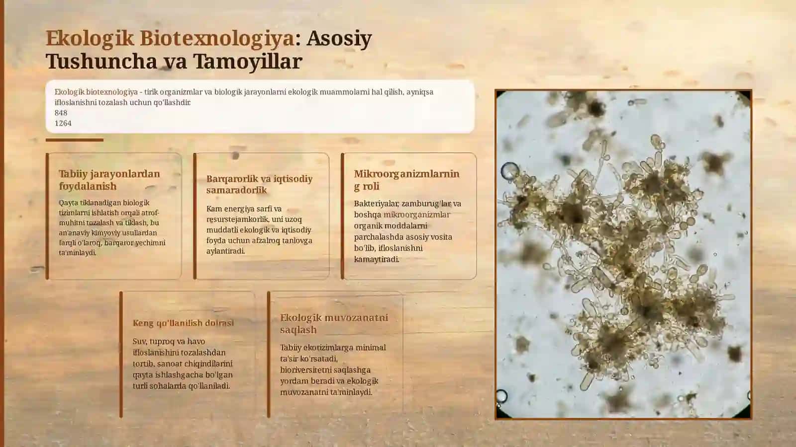 Ekologik biotexnologiya: Asosiy tushuncha va tamoyillar 3