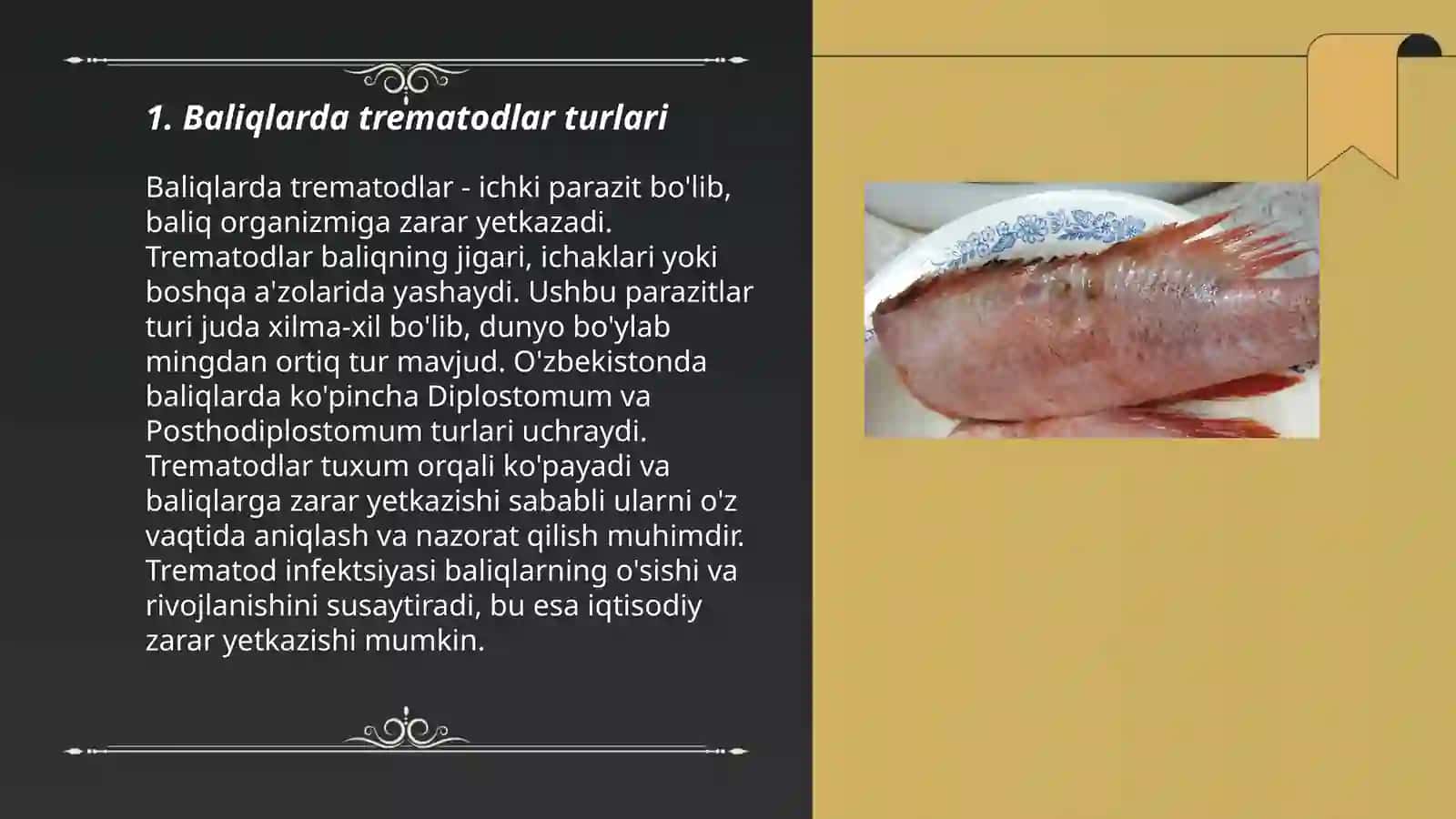 Baliqlarda trematadozlar keltirib chiqaradigan kasaliklar 3