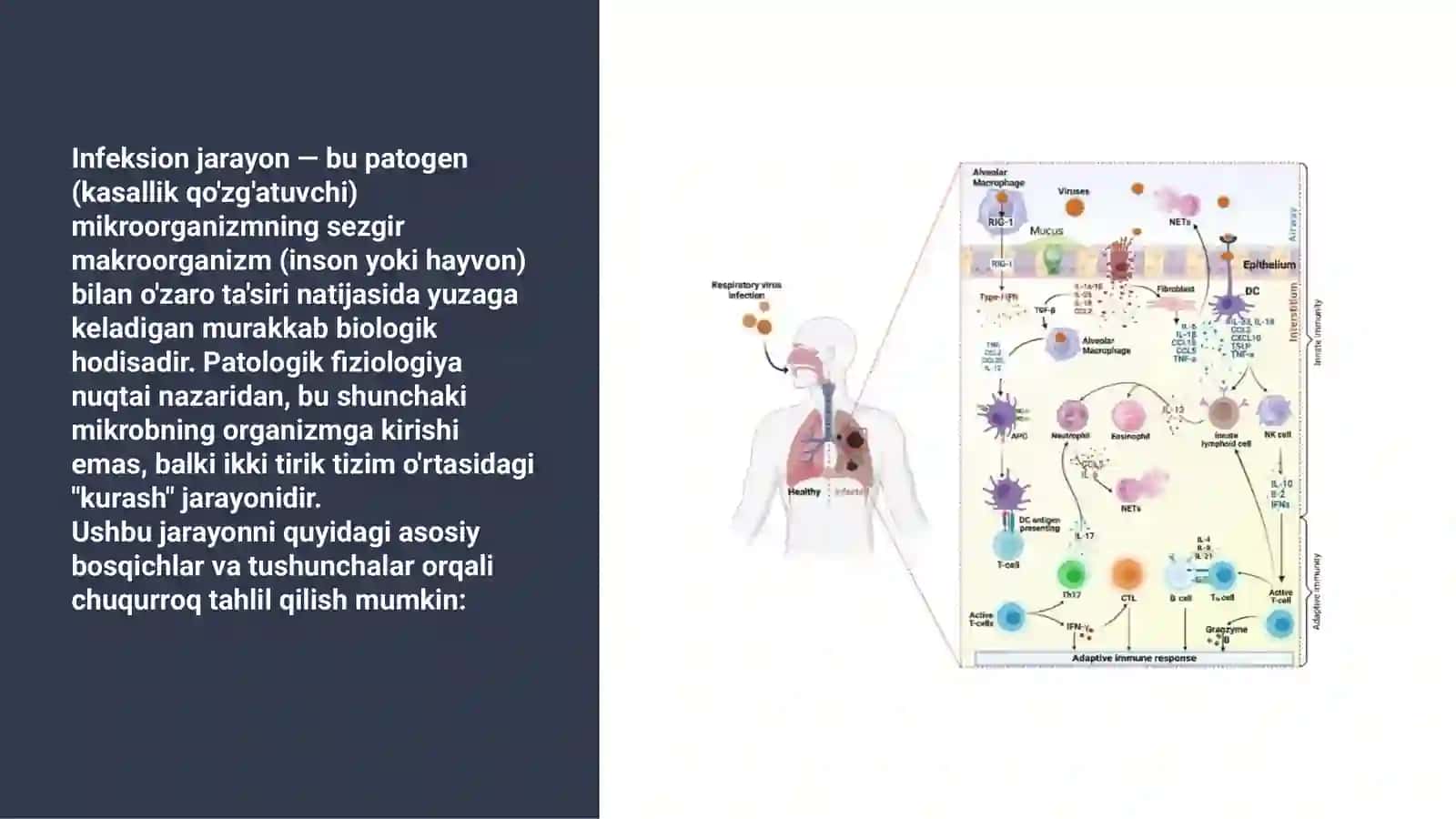 Umumiy infeksion jarayonlar haqida tushuncha 3