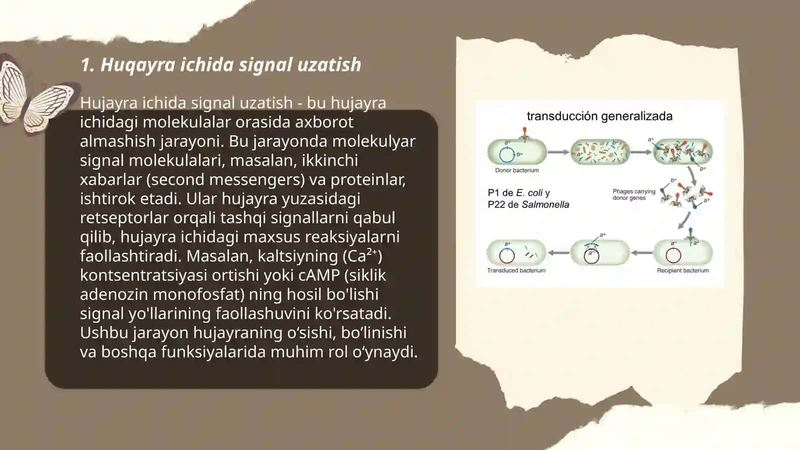 Hujayraning signal transduksiya tizimlari 3